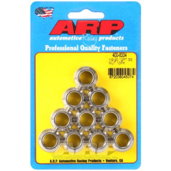 ARP Stainless Steel 12-Point Nut Kit - 1/2-20