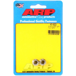 ARP Stainless Steel 12-Point Nut Kit - 5/16-18 Thread Size