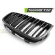 Бодикит и визуални аксесоари TUNING-TEC решетка (Double Bar Sport Look) за BMW F20 F21 11-12.14, гланц черен | race-shop.bg
