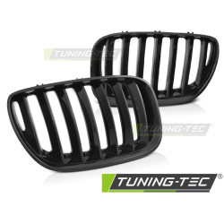 TUNING-TEC решетка за BMW X5 E53 LCI 04-06, гланц черен