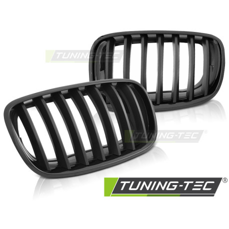 Бодикит и визуални аксесоари TUNING-TEC решетка за BMW X5 E70 X6 E71 08, мат черен | race-shop.bg