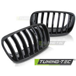 TUNING-TEC решетка за BMW X5 E70 X6 E71 08, гланц черен