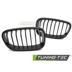 TUNING-TEC решетка за BMW F20 / F21 11-14, мат черен