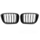Бодикит и визуални аксесоари TUNING-TEC решетка (Sport Double Bar) за BMW X3 G01 17-21 / X4 G02 18-21, мат черен | race-shop.bg