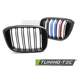 TUNING-TEC решетка (Sport M-Look Double Bar) за BMW X3 G01 17-21 / X4 G02 18-21, черен