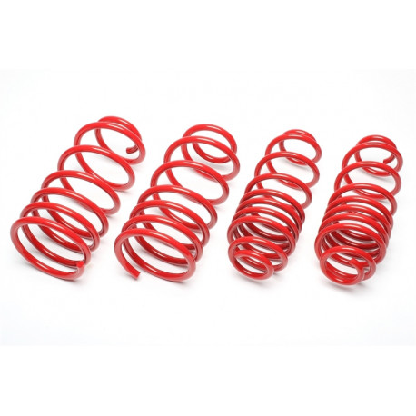 TA technix Спортни пружини TA-TECHNIX Seat Ibiza 6L 45/45mm | race-shop.bg